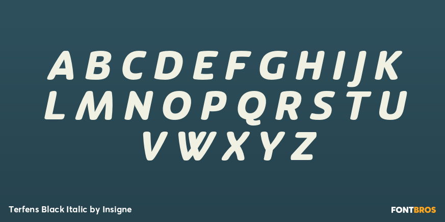 Terfens Black Italic Font Poster #2