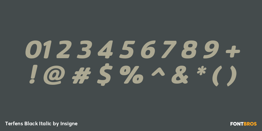 Terfens Black Italic Font Poster #4