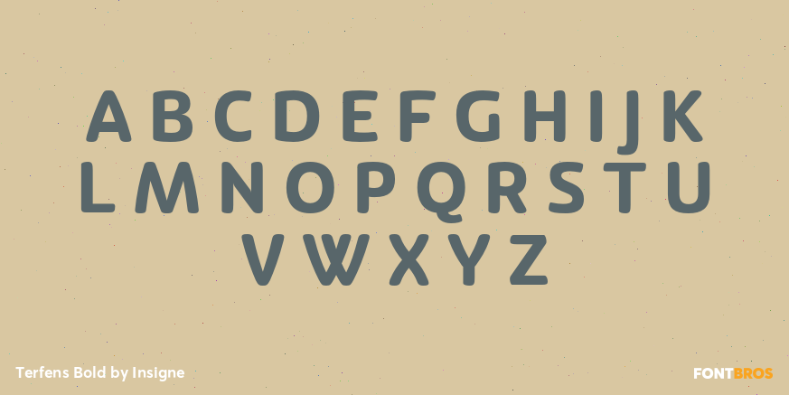 Terfens Bold Font Poster #2