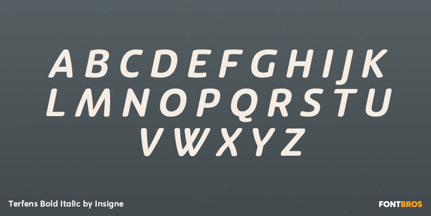 Terfens Bold Italic Font Poster #2