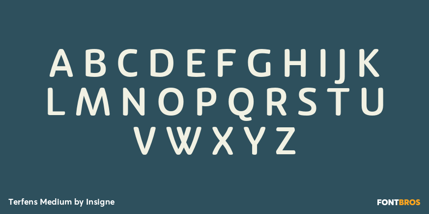 Terfens Medium Font Poster #2