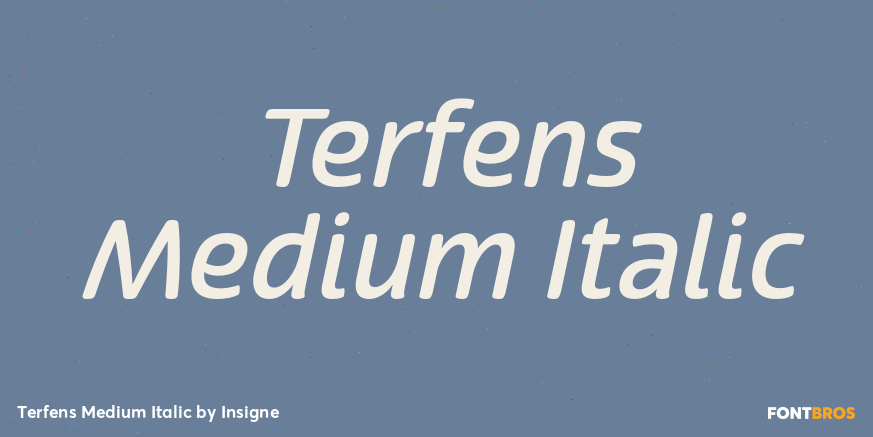 Terfens Medium Italic Font Poster #1