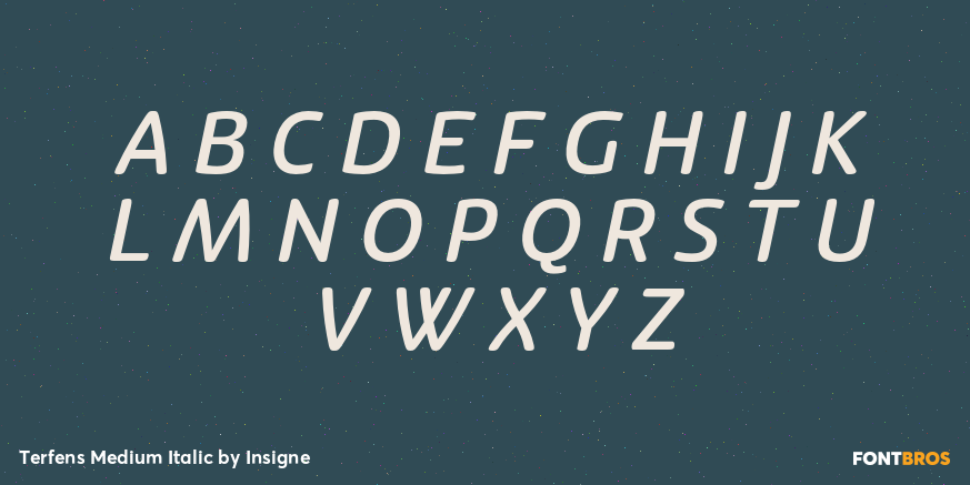 Terfens Medium Italic Font Poster #2