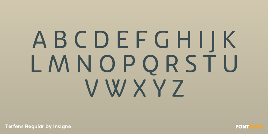 Terfens Regular Font Poster #2