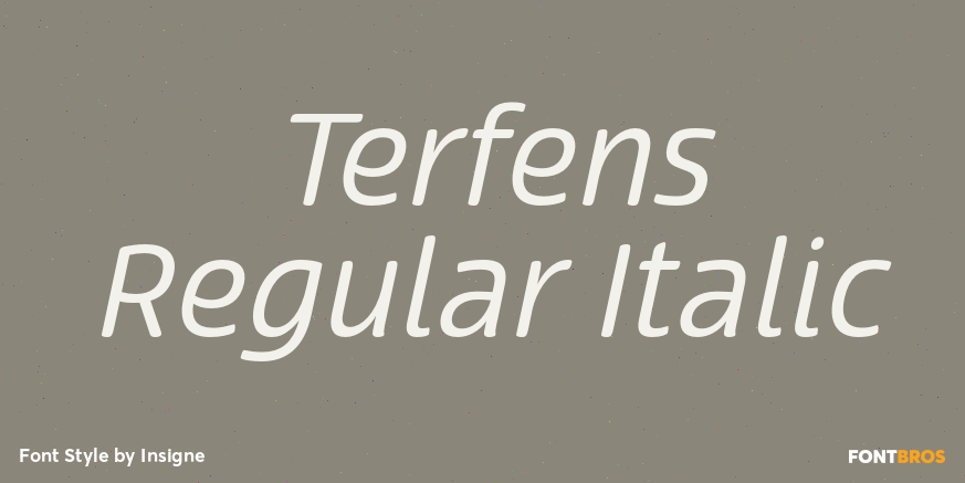 Terfens Regular Italic Font Poster #1