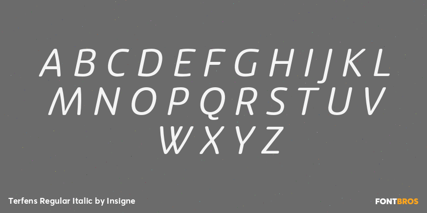 Terfens Regular Italic Font Poster #2