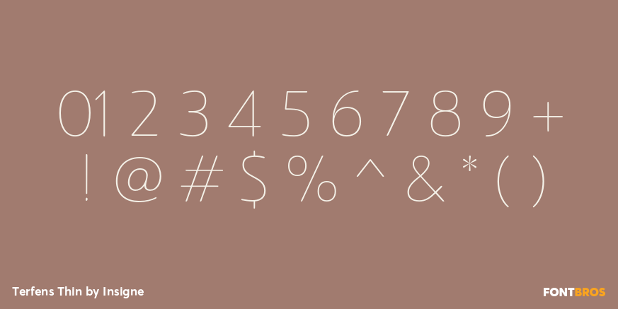 Terfens Thin Font Poster #1
