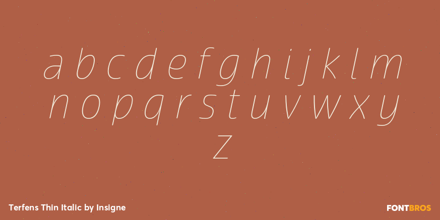 Terfens Thin Italic Font Poster #3