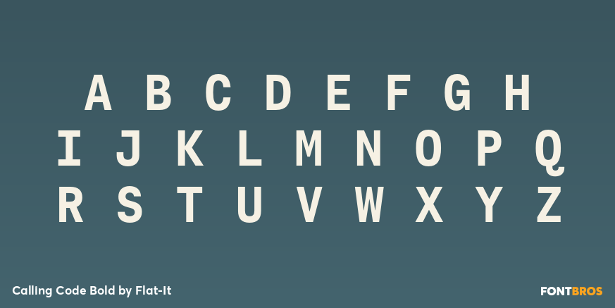 Calling Code Bold Font Poster #2