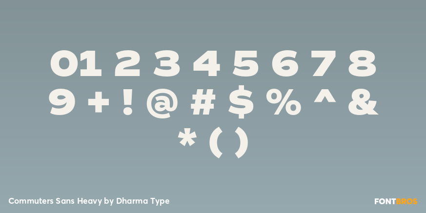 Commuters Sans Heavy Font Poster #4