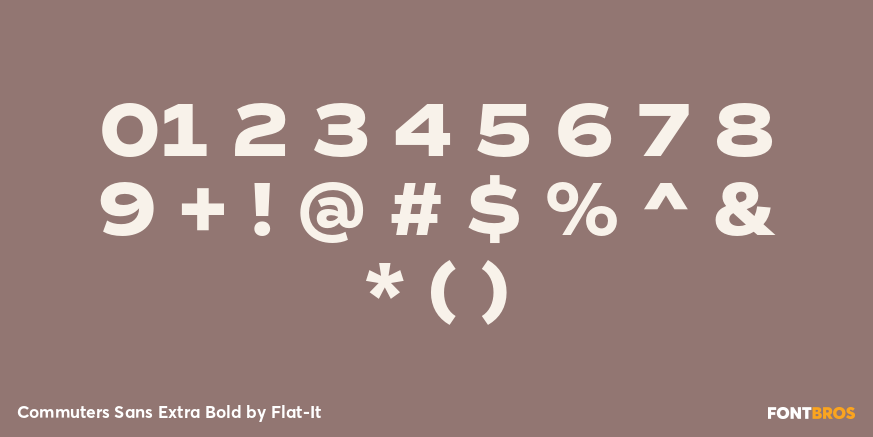 Commuters Sans Extra Bold Font Poster #4