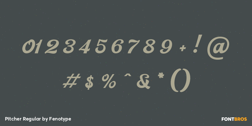 Pitcher Regular Font Poster #1