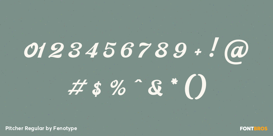 Pitcher Regular Font Poster #4