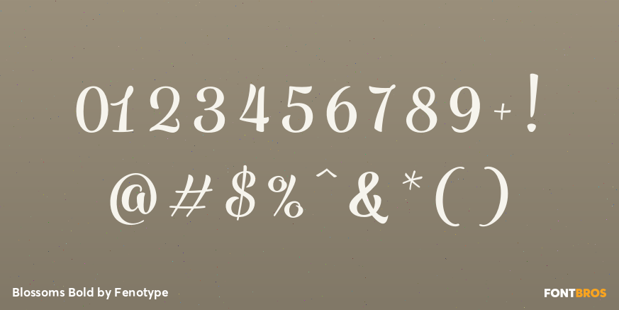 Blossoms Bold Font Poster #4