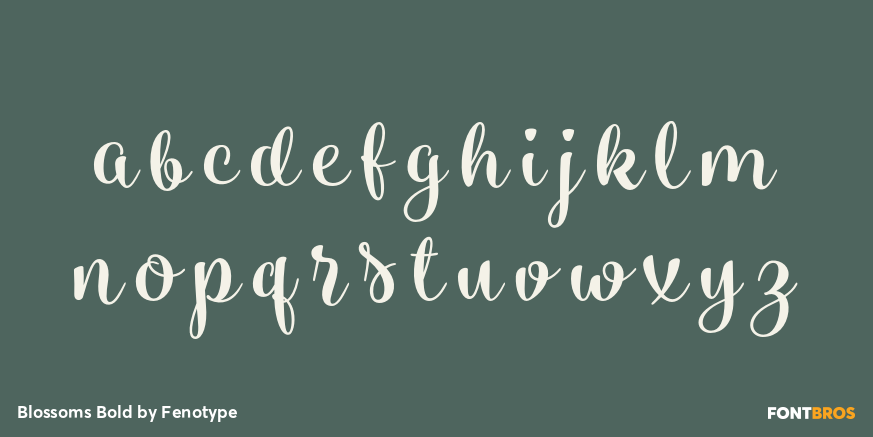 Blossoms Bold Font Poster #1