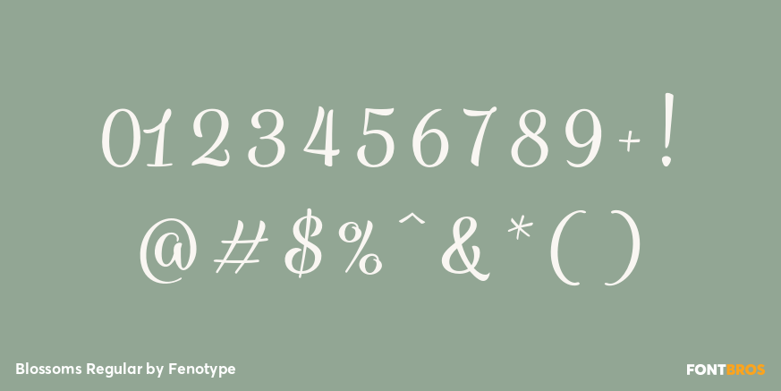 Blossoms Regular Font Poster #1