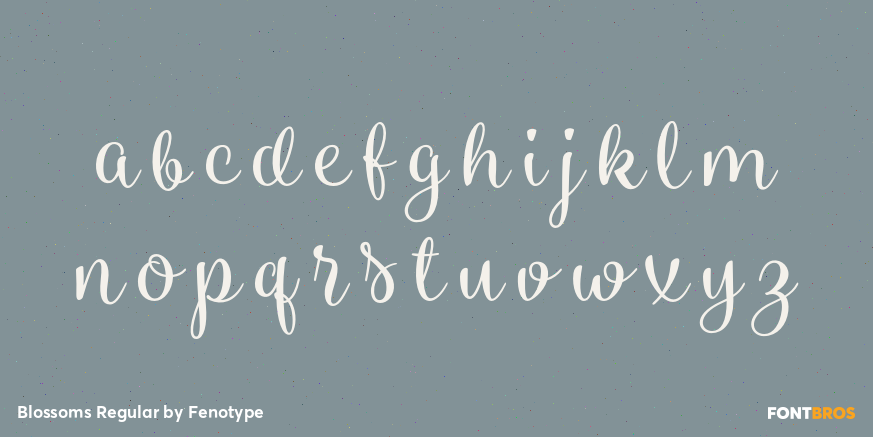 Blossoms Regular Font Poster #1