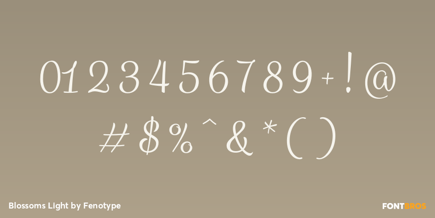 Blossoms Light Font Poster #1