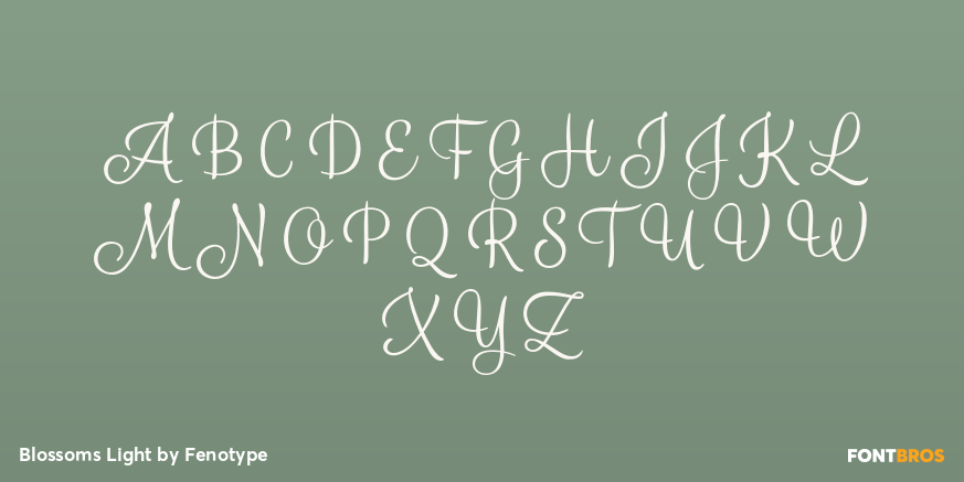 Blossoms Light Font Poster #1