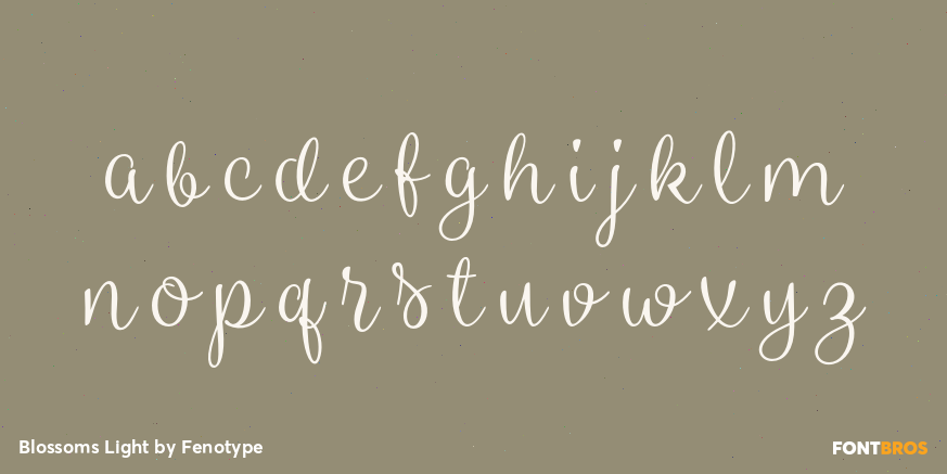 Blossoms Light Font Poster #1