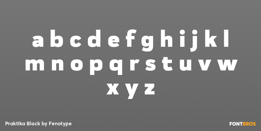 Praktika Black Font Poster #3