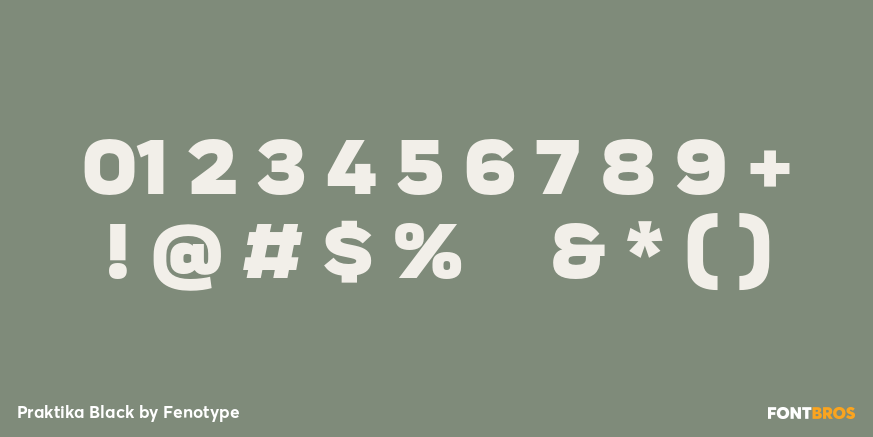 Praktika Black Font Poster #4