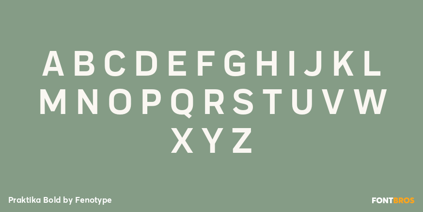 Praktika Bold Font Poster #2