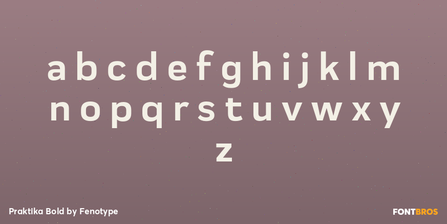 Praktika Bold Font Poster #3