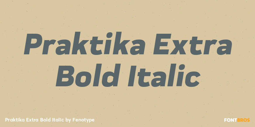 Praktika Extra Bold Italic Font Poster #1