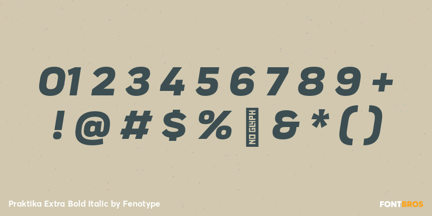 Praktika Extra Bold Italic Font Poster #4