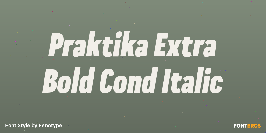 Praktika Extra Bold Cond Italic Font Poster #1