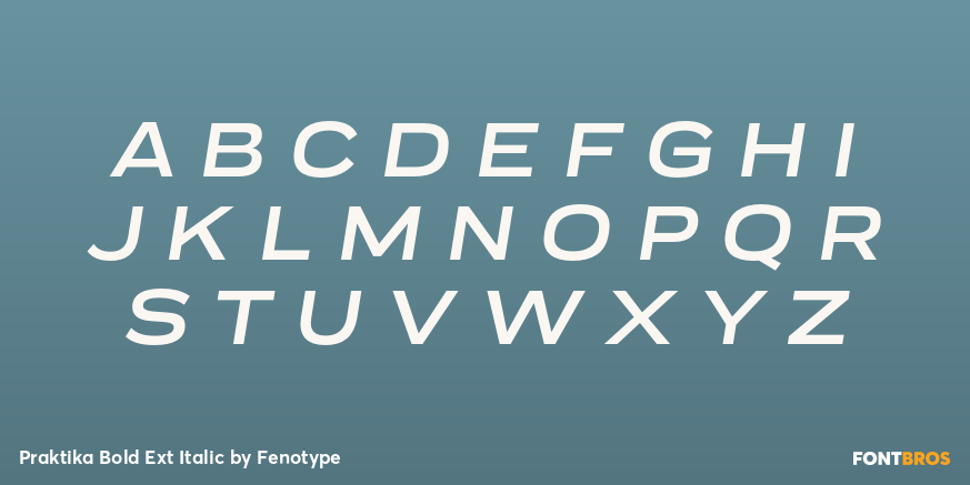 Praktika Bold Ext Italic Font Poster #2