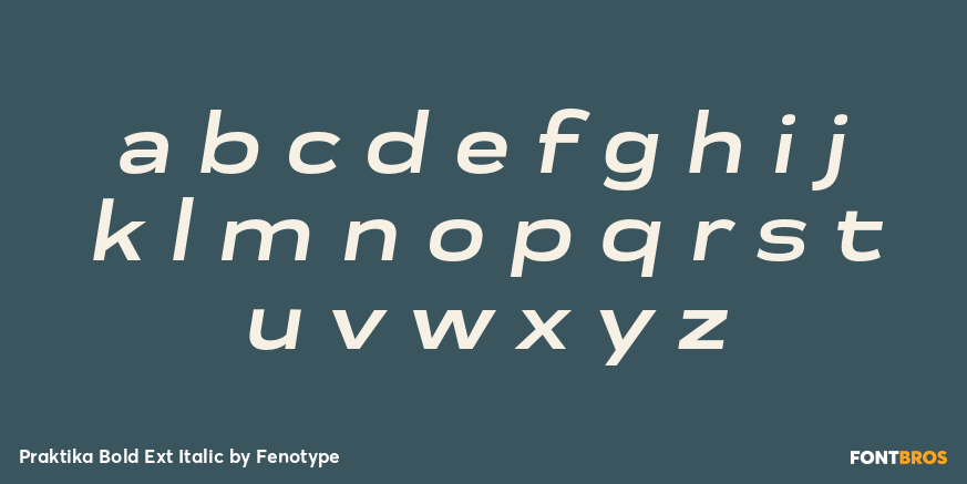 Praktika Bold Ext Italic Font Poster #3