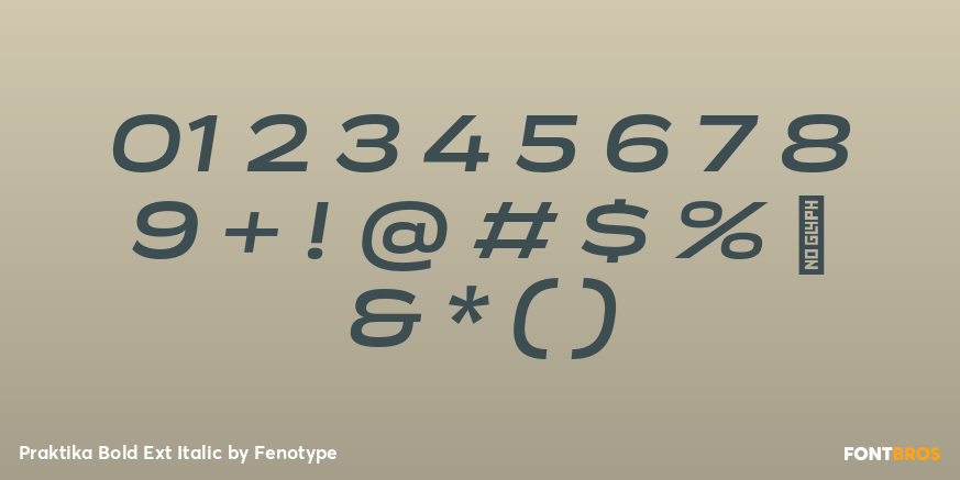 Praktika Bold Ext Italic Font Poster #4