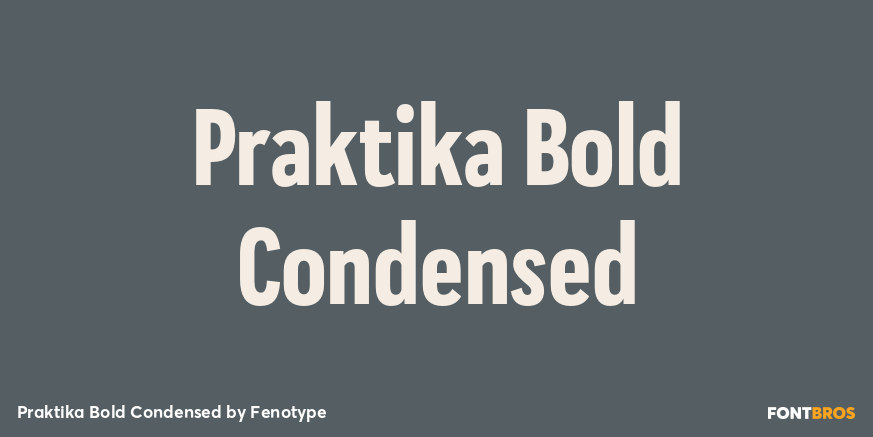 Praktika Bold Condensed Font Poster #1