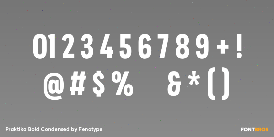 Praktika Bold Condensed Font Poster #4