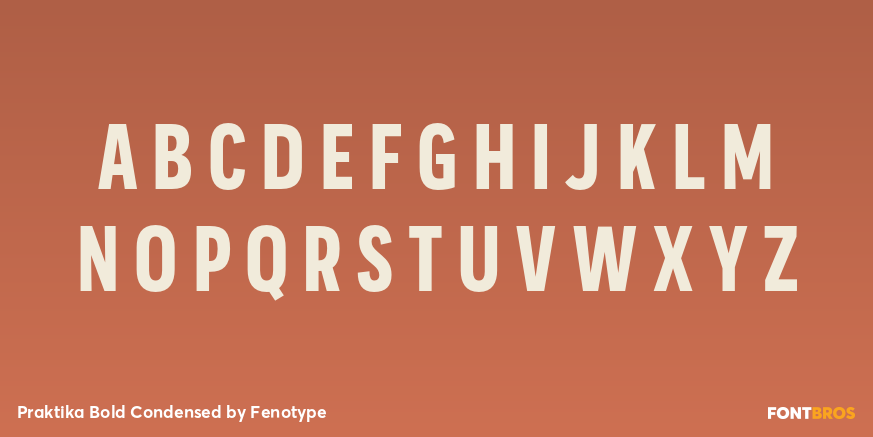 Praktika Bold Condensed Font Poster #1