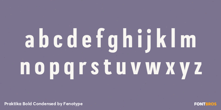 Praktika Bold Condensed Font Poster #1