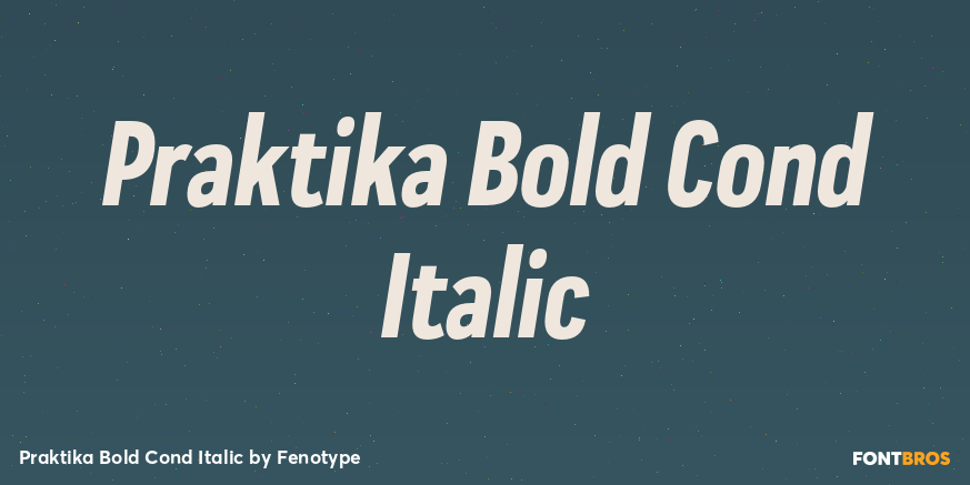 Praktika Bold Cond Italic Font Poster #1