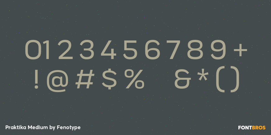 Praktika Medium Font Poster #4