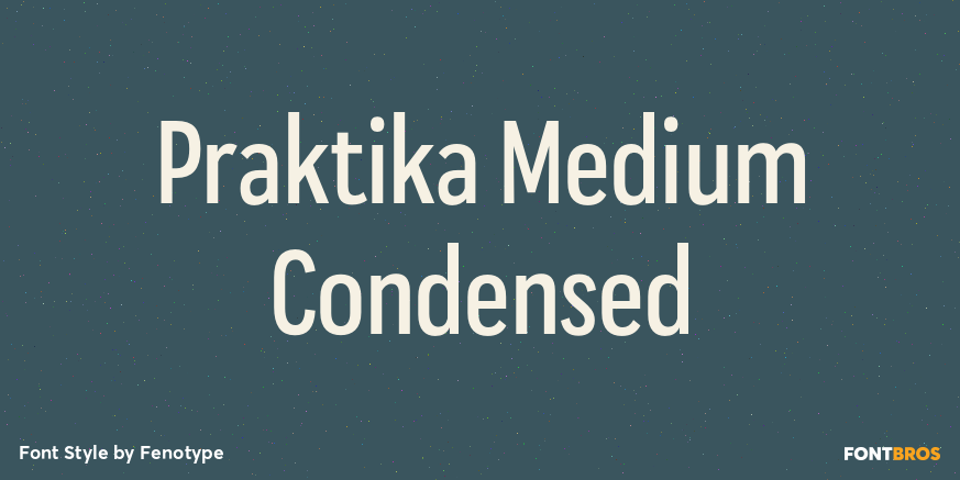 Praktika Medium Condensed Font Poster #1