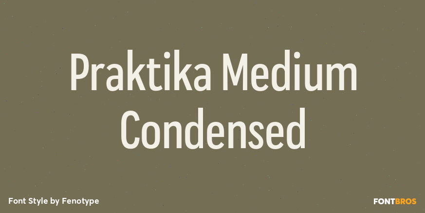 Praktika Medium Condensed Font Poster #1