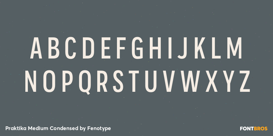 Praktika Medium Condensed Font Poster #1