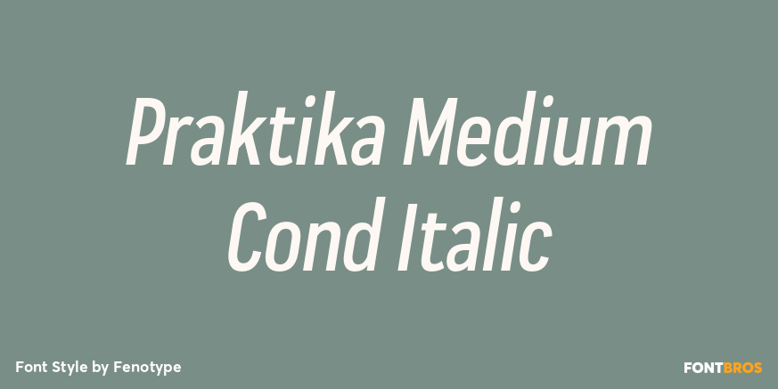 Praktika Medium Cond Italic Font Poster #1