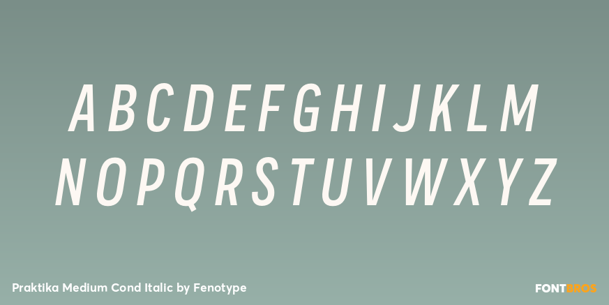 Praktika Medium Cond Italic Font Poster #1