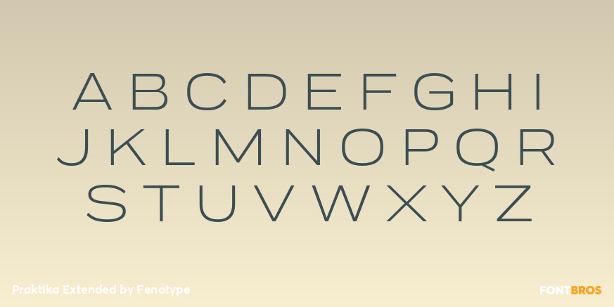Praktika Extended Font Poster #1