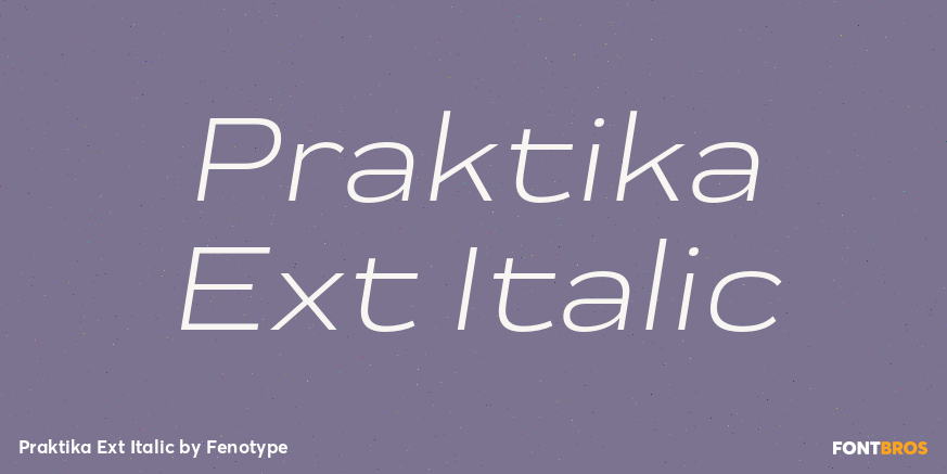 Praktika Ext Italic Font Poster #1