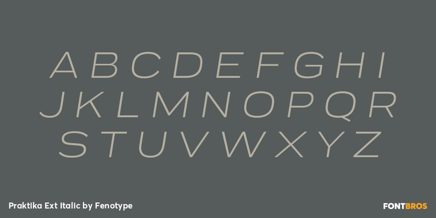 Praktika Ext Italic Font Poster #2