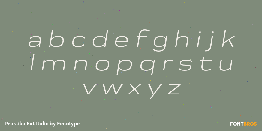 Praktika Ext Italic Font Poster #3