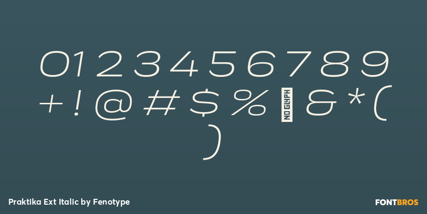Praktika Ext Italic Font Poster #4